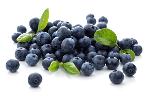 Fat Burning Foods Blueberries
