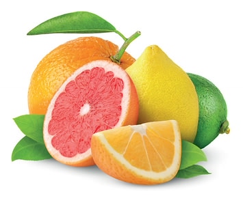 Fat Burning Foods Citrus Fruits