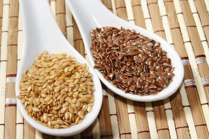 Fat Burning Foods Flax Seeds