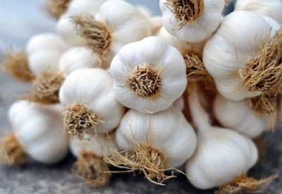 Garlic For Acne Treatment