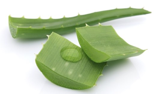 Use Aloe Vera for Acne and Acne Scars Treatment