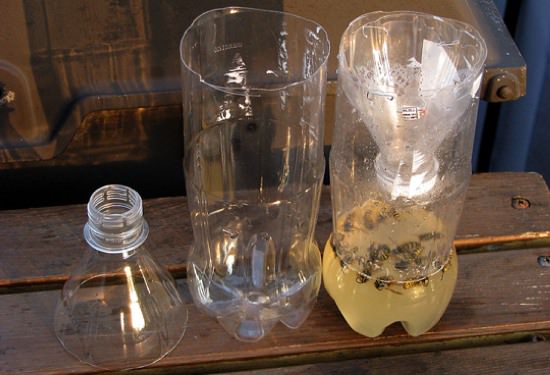 How to Make a Wasp Trap Soda Bottle Euro