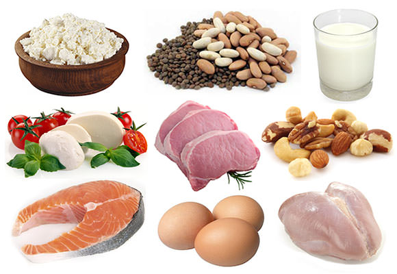 Foods High in Protein