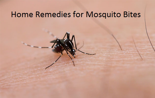 how to cure mosquito bites treatment for mosquito bites