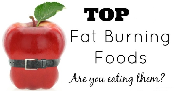 Top Fat Burning Foods