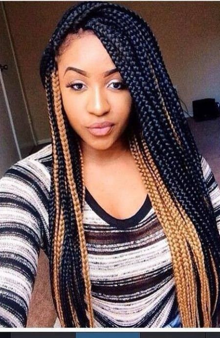 marvelous and multicolored box braids hairstyles