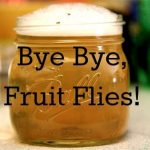 Get Rid oF Fruit Flies
