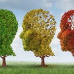 Alzheimer's Stages of Alzheimer's Disease