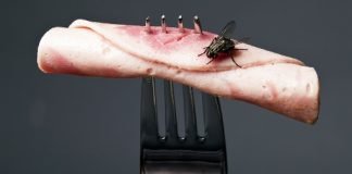 How to Get Rid of Fruit Flies in The Kitchen