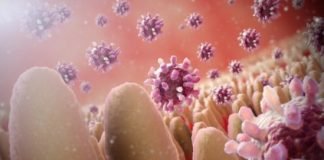 Home Remedies for Gastroenteritis Treatment Naturally