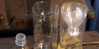 How to Make a Wasp Trap Soda Bottle Euro