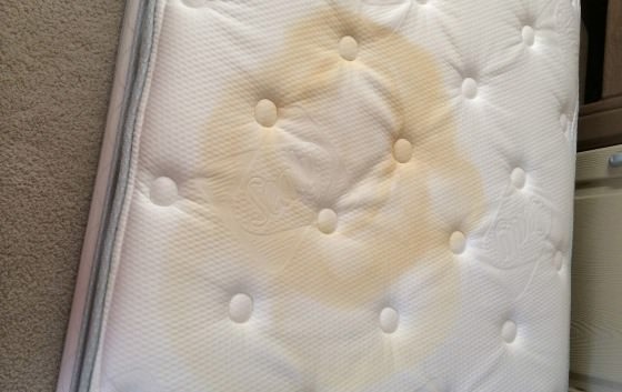 putting a vinyl cover over pee stained mattress