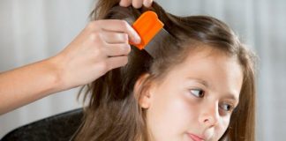 Home Remedies for Lice Treatment Simple and Effective