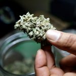 Side Effects of Marijuana on Body Mind and Brain