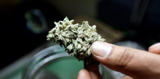 Side Effects of Marijuana on Body Mind and Brain