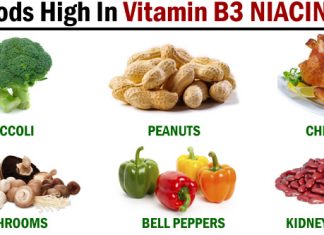 Foods High In Vitamin B3 Niacin