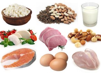 Foods High in Protein