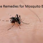 how to cure mosquito bites treatment for mosquito bites