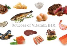 Foods High in Vitamin B12