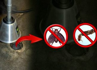 How to Get Rid of Drain Flies