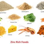 Zinc Rich Foods Foods High in Zinc