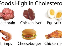 Foods high in cholesterol to avoid