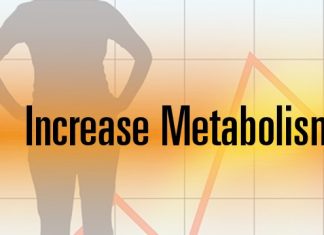 increase metabolism