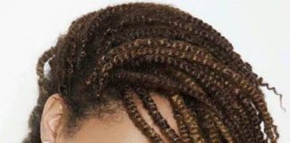 Twisted Subtle Ombre hairstyles Natural African Hairstyles for any Hair Length